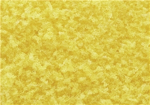 Fall Yellow Coarse Turf