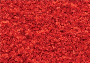 Fall Red Coarse Turf