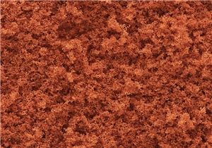 Fall Rust Coarse Turf