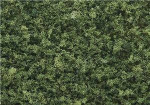 Medium Green Coarse Turf