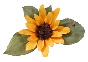 Pollen - Brown