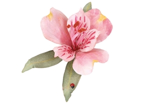 Pollen - Red