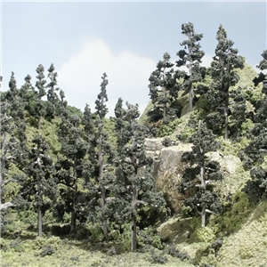 Forest Kits