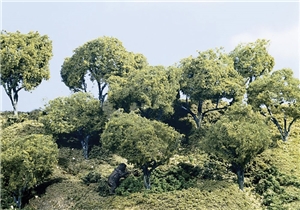 5½"-6½"Hardwood Tree (3/Kit)