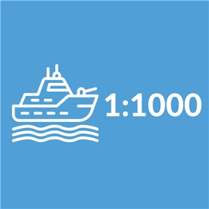 1:1000 Scale