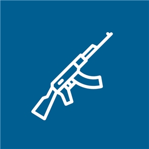 Armament