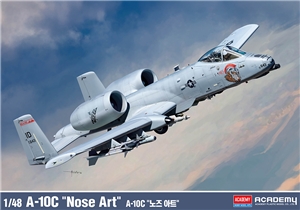US Air National Guard A-10C "Nose Art" Fighter Aircraft