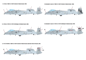US Air National Guard A-10C "Nose Art" Fighter Aircraft