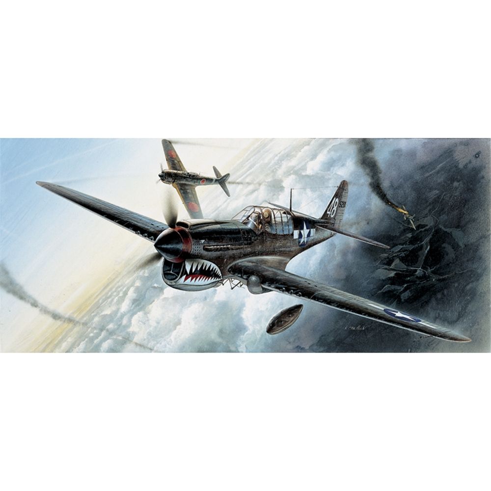 USAAF P-40M/N Warhawk Fighter Aircraft