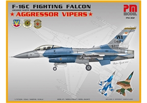 US Air Force F-16C Fighting Falcon  Aggressor Vipers  Fighter Aircraft