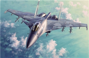 Russian Su-33 Flanker D