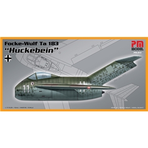 German Focke Wulf Ta-183 Huckebein Prototype Fighter Aircraft