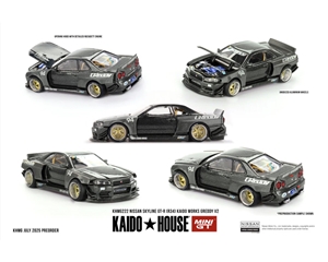 Nissan Skyline GT-R (R34) Kaido Works Greddy V2