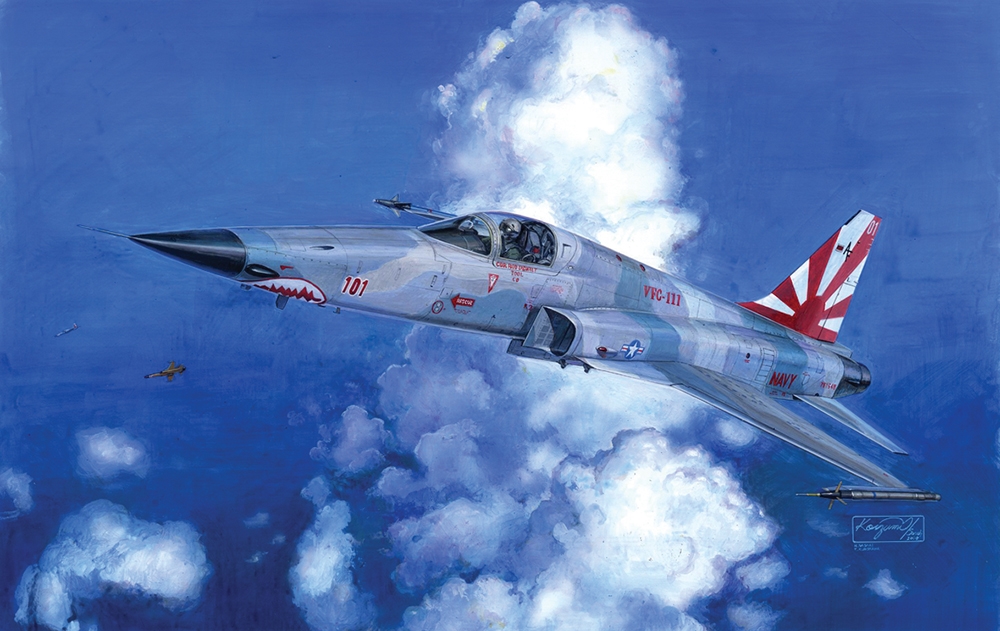 US Navy F-5E Tiger II 'Shark Nose' Fighter Aircraft