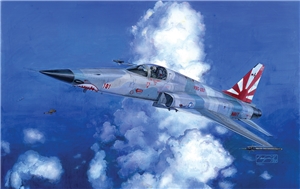 US Navy F-5E Tiger II 'Shark Nose' Fighter Aircraft
