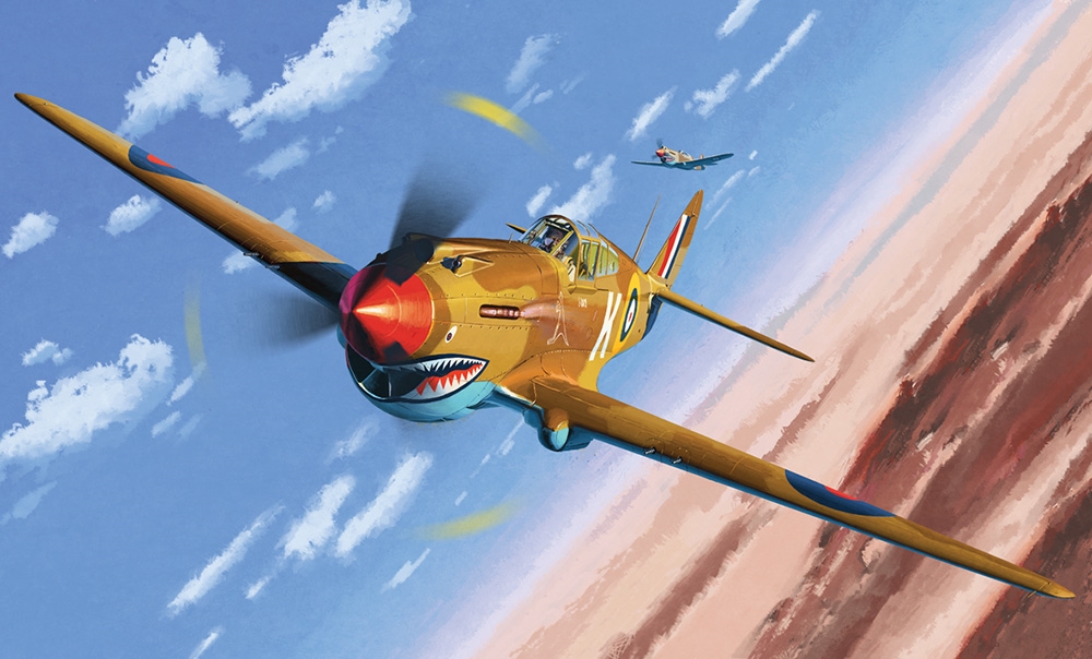 British Air Force P-40C Tomahawk IIb  African Ace  Fighter Aircraft