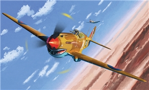 British Air Force P-40C Tomahawk IIb  African Ace  Fighter Aircraft