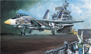 US Navy F-14A Tomcat Fighter Aircraft
