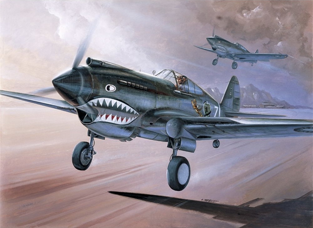 US Air Force P-40C Tomahawk Fighter Aircraft
