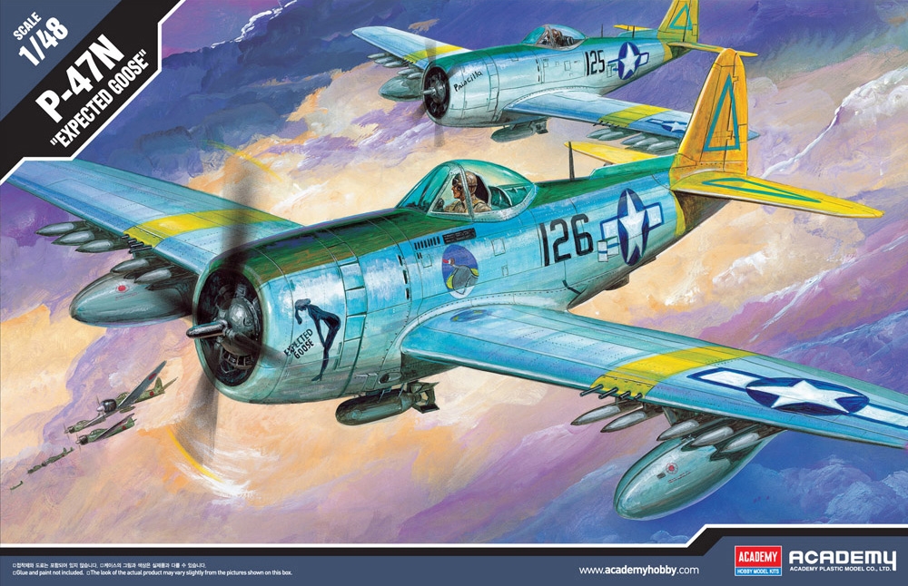 US Air Force P-47N Thunderbolt  Expected Goose  Fighter Aircraft
