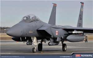 US Air Force F-15E  Seymour Johnson  Fighter Aircraft