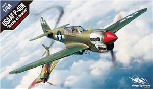 USAAF P-40N  Battle of Imphal  Fighter Aircraft