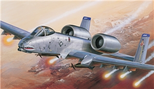 US Air Force A-10  Operation Iraqi Freedom  Fighter Aircraft