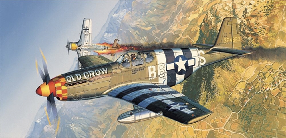USAAF P-51B Mustang Fighter Aircraft