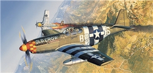 USAAF P-51B Mustang Fighter Aircraft