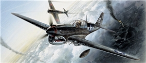 USAAF P-40M/N Warhawk Fighter Aircraft