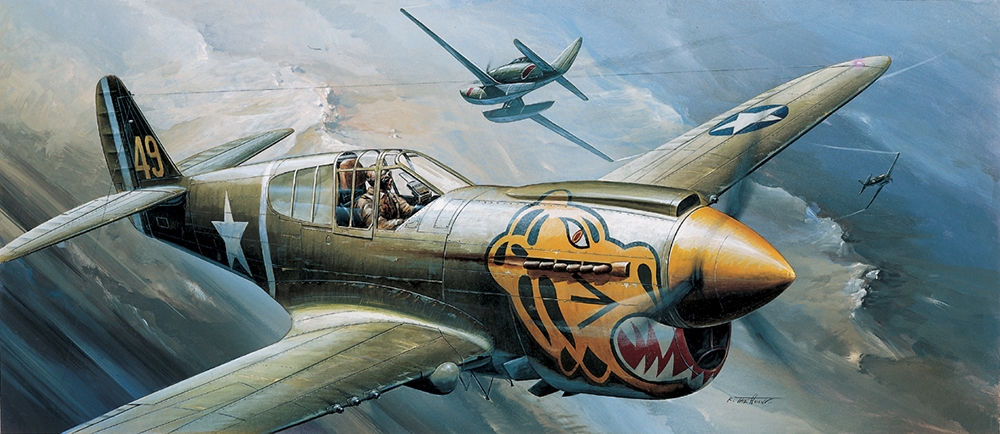 USAAF P-40E Warhawk Fighter Aircraft