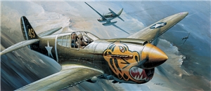 USAAF P-40E Warhawk Fighter Aircraft