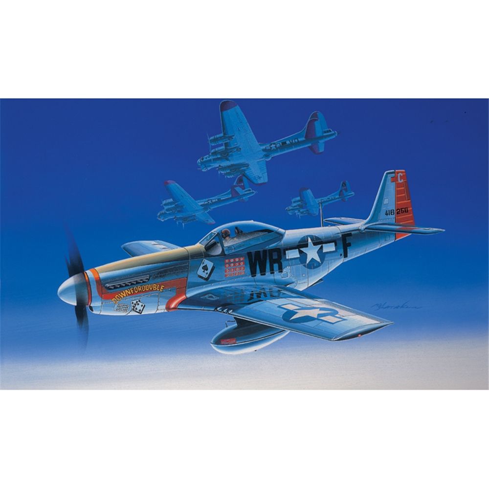 USAAF P-51D Mustang Fighter Aircraft