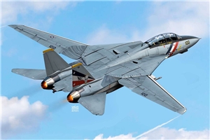 US Navy F-14D Tomcat "VF-2 Bounty Hunters" Fighter Aircraft