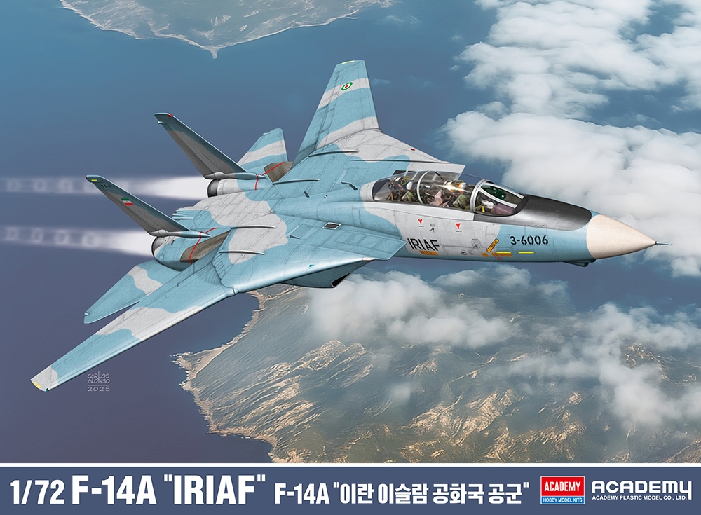 Iran Air Force F-14A "IRIAF" Fighter Aircraft