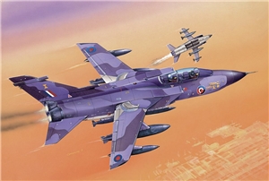 Panavia Tornado Fighter Aircraft