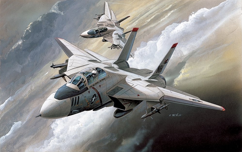 US Navy F-14A Tomcat Fighter Aircraft