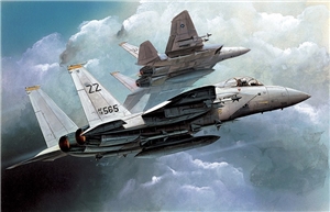 US Air Force F-15C Eagle Fighter Aircraft