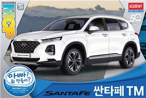 Hyundai Santa Fe TM Car