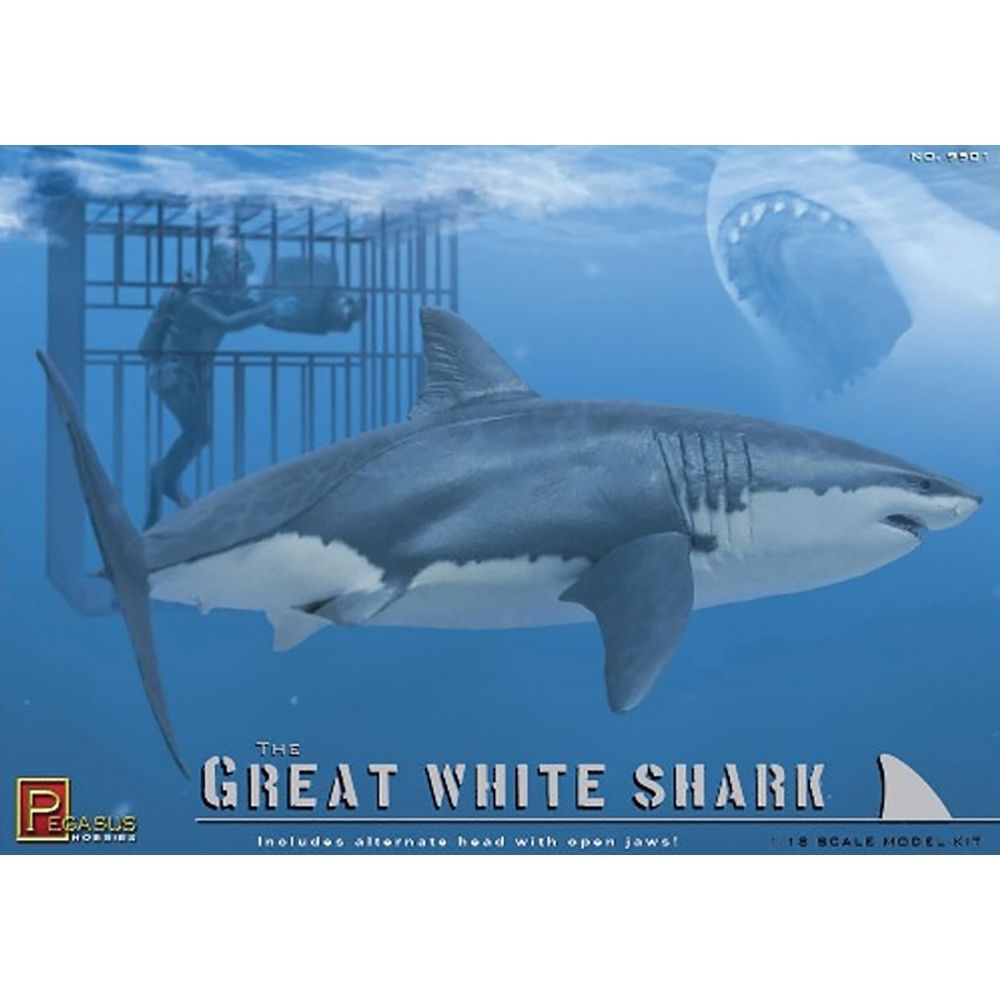 Great White Shark with Diver in Cage