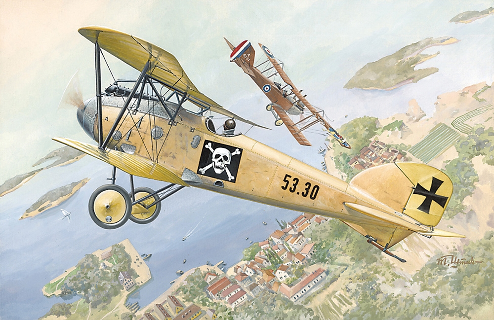 German Air Force Albatros D.III Oeffag s.53 WWI Fighter Aircraft
