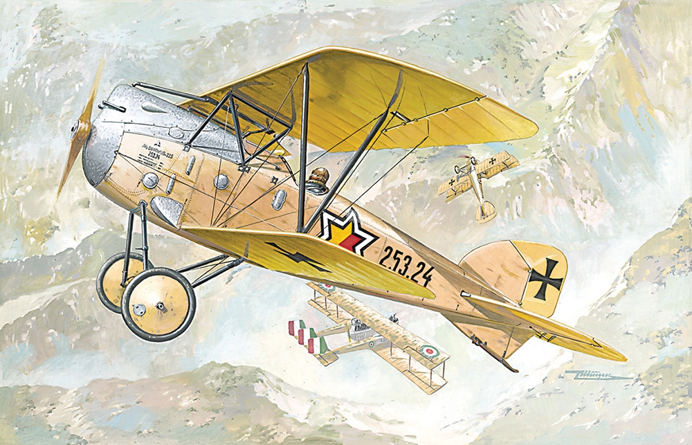 German Air Force Albatros D.III Oeffag s.253 WWI Fighter Aircraft