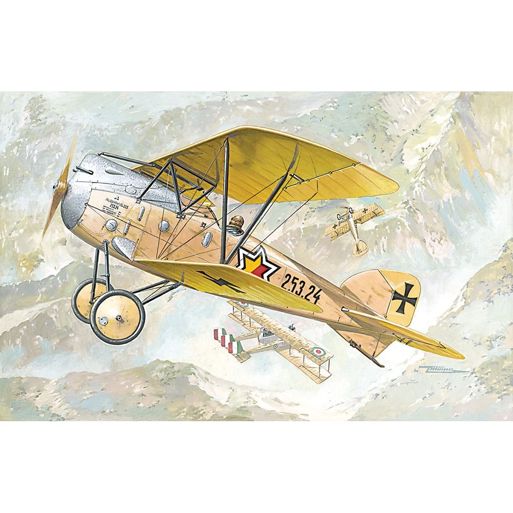 German Air Force Albatros D.III Oeffag s.253 WWI Fighter Aircraft