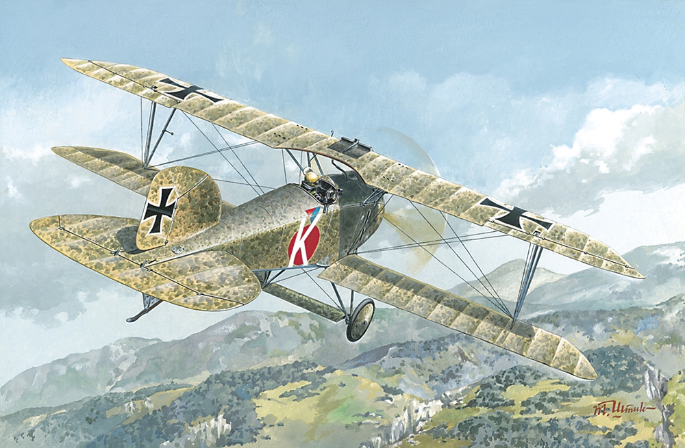 German Air Force Albatros D.III Oeffag s.153 Late WWI Fighter Aircraft