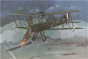 PKROD412 R.A.F. B.E.12b