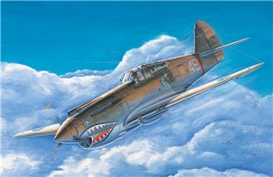 P-40B/C Kittyhawk WWII Fighter Aircraft