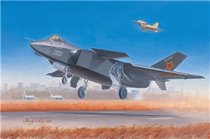 Chinese Air Force J-20 Fighter Aircraft