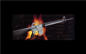 AR15/M16/M4 Series - M16 Rifle Replica