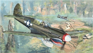 US Air Force P-40N Warhawk WWII Fighter Aircraft
