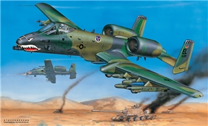 US Air Force A-10A Thunderbolt Attack Aircraft